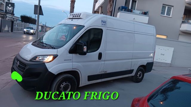 Fiat FIAT DUCATO FRIGO INCIDENTATA SINISTRATA MONDIAL