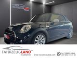 MINI Cooper S Cabrio Park-Assistent Chili Leder Chest - MINI Cooper S Cabrio: Roadster