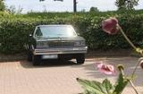 Chevrolet Traumhafter 1983er Chevrolet El Camino 5.0... - Chevrolet El Camino Gebrauchtwagen