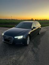 Audi A4 b9 2 0TDI quattro - Audi A4: B9