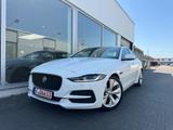 Jaguar XE S P250 LED/Memory/Meridian/Leder/Kamera - Jaguar aus 2020