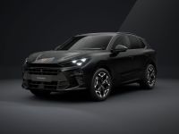 Cupra Terramar - Vorschau Bild 1