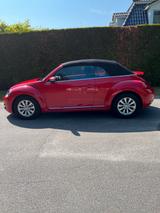 Volkswagen Beetle 1.2 TSI BMT Design Cabriolet Design - Volkswagen Beetle: Rot, Cabrio