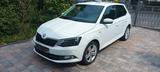 Skoda Fabia 1.2l TSI 66kW Drive LichtSicht Climatronic - Skoda Fabia in Mainz