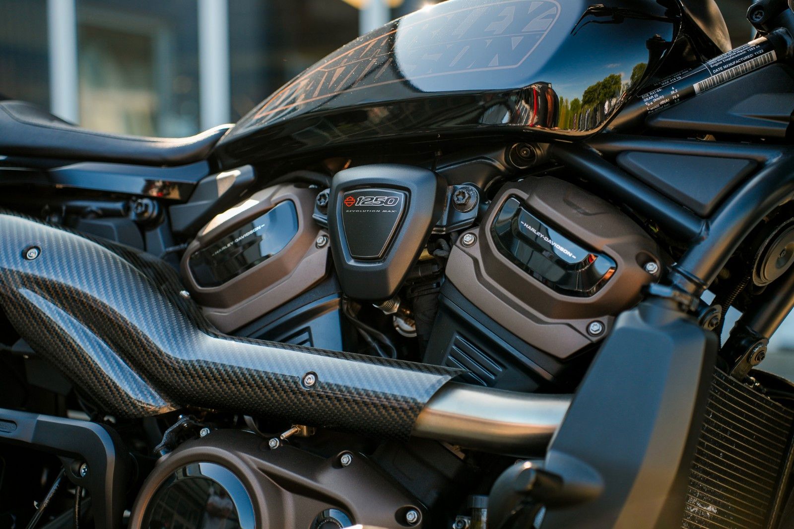 Fahrzeugabbildung Harley-Davidson Sportster S RH1250S - Jekill & Hyde-Thunderbike