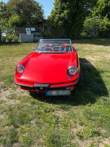 Alfa Romeo OLDTIMER ALFA ROMEO SPEIDER - Alfa Romeo Giulietta: Cabrio