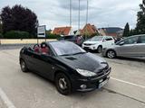 Peugeot 206 2.0 Cabriolet CC Platinum/Leder/Navi/Tüv neu - Peugeot 206 aus 2004: Cabrio
