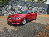 Audi A3 Navi CarPlay/AndroidAuto top Zustand  - Audi A3 in Mannheim