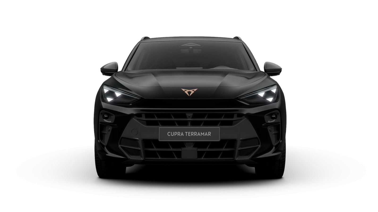 Cupra Terramar - Bild 2