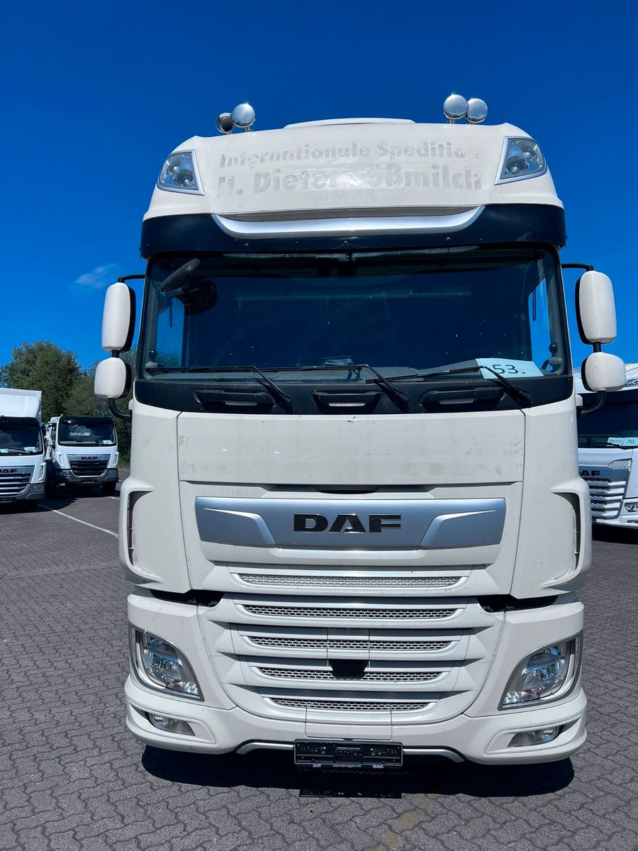 Fahrzeugabbildung DAF Low Deck XF 480 FT, Intarder