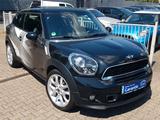 MINI Cooper S Paceman Chili Navi Panorama 19"Alu - MINI Cooper S Paceman Gebrauchtwagen