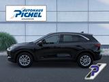 Ford Kuga Titanium FAHRERASSIST+WINTER PAKET+LAGERWAG - Ford Kuga Tageszulassungen