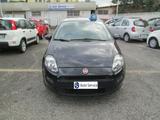 Fiat FIAT Punto 1.2 8V 5 porte Lounge - Fiat Punto: Lounge