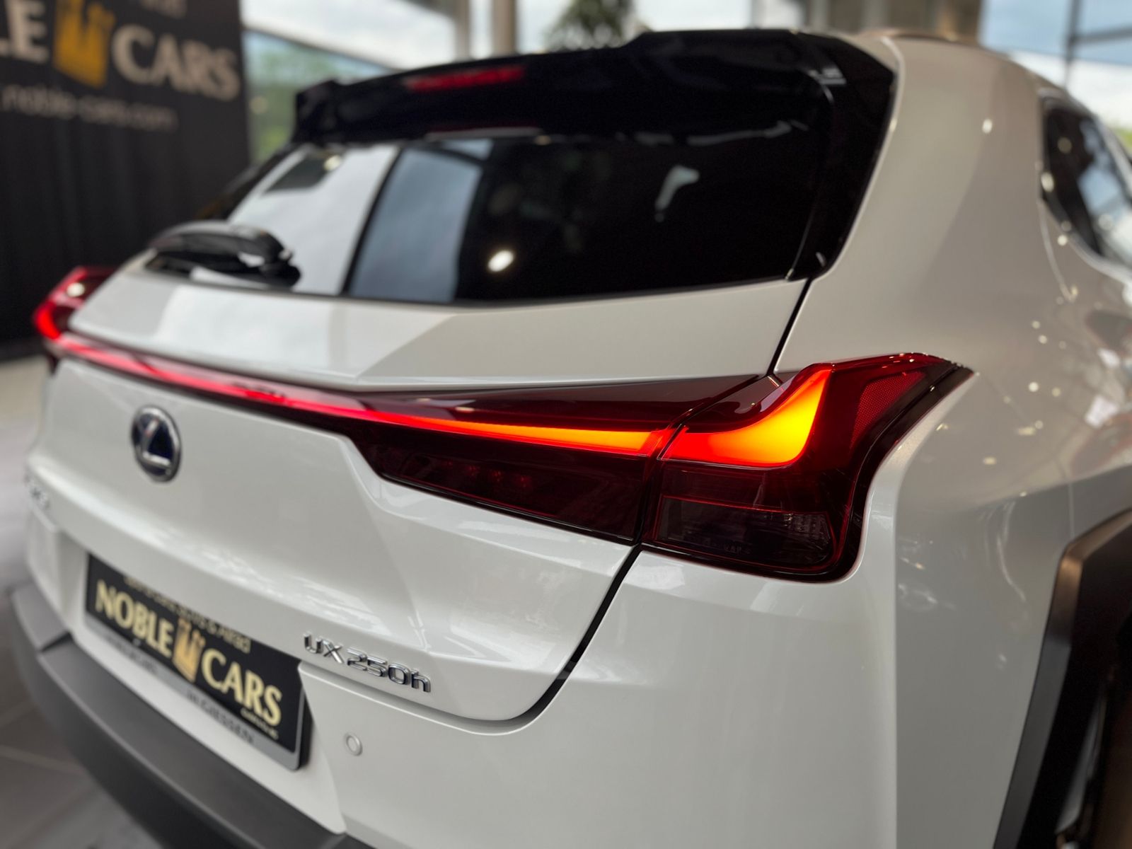 Fahrzeugabbildung Lexus UX 250 h Style AHK LED SHZ CARPLAY RFK