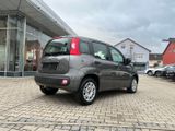 Fiat New Panda Easy 1.2 8V *Klimaanlage PDC DAB+* - Fiat New Panda Gebrauchtwagen