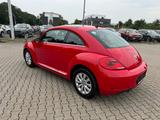 Volkswagen Beetle Lim. Design BMT Panoramadach - Volkswagen Beetle: Kleinwagen