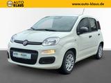 Fiat Panda 1.0 Pandina Pop PDC Radio Klima - Fiat Panda Pandina mit Benzin-Antrieb