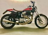 Harley-Davidson Evo Sportster 883 "Flat-Track"-Umbau *Unikat*