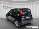 Fiat Pandina 1.0 GSE Hybrid 48 kW Icon - schwarze Fiat New Panda
