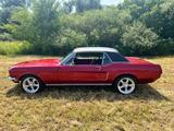 Ford Mustang GT Bj. 1968  V8 Motor NEU - Ford Mustang aus 1968: Coupe