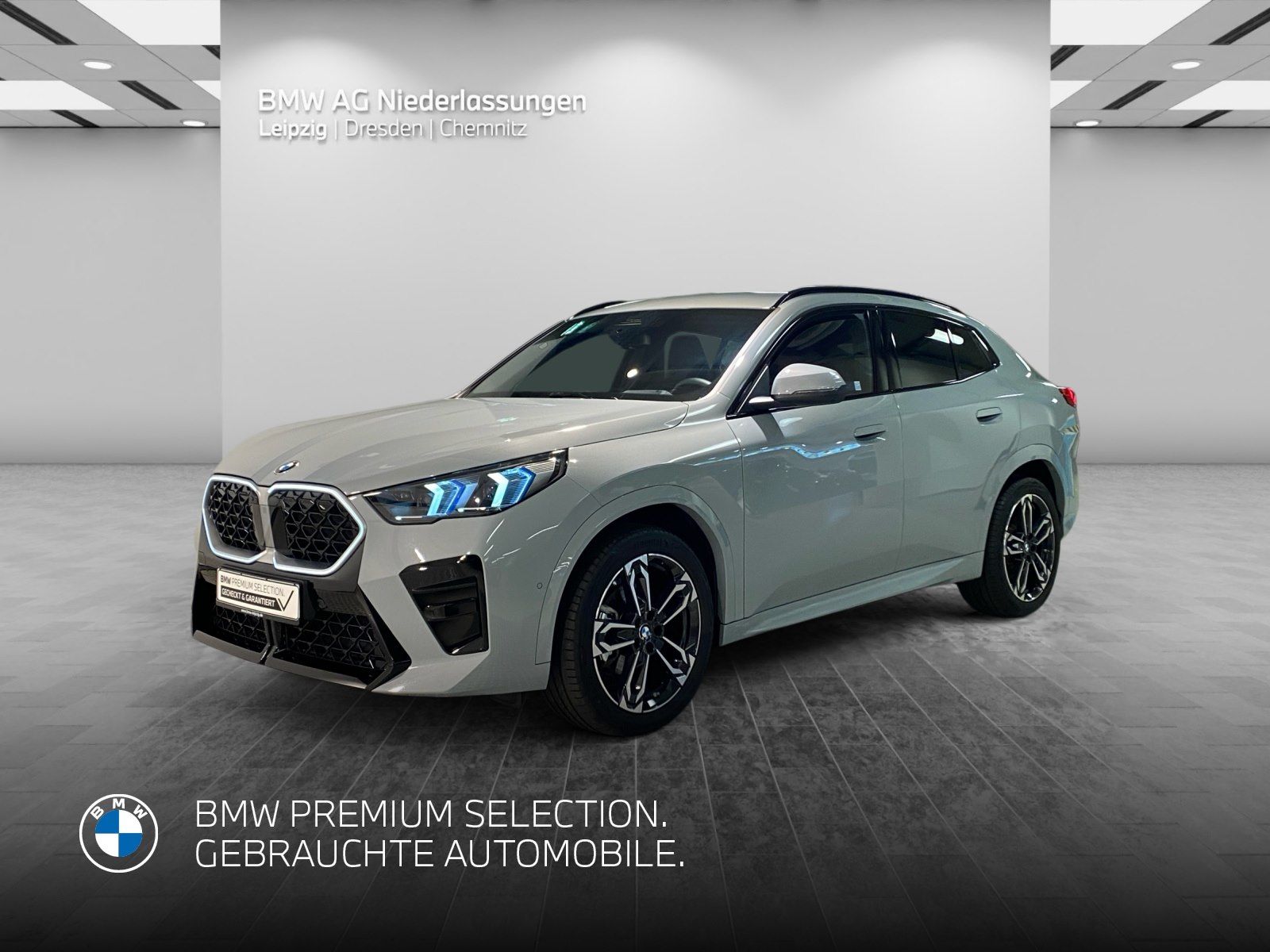 BMW X2 xDrive20d M Sport AHK Driv.Assist+ Harman/K