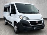 Fiat Ducato Luxusbus Panorama 30 130 L1H1 *9 Sitzer* - Fiat Ducato: Luxusbus