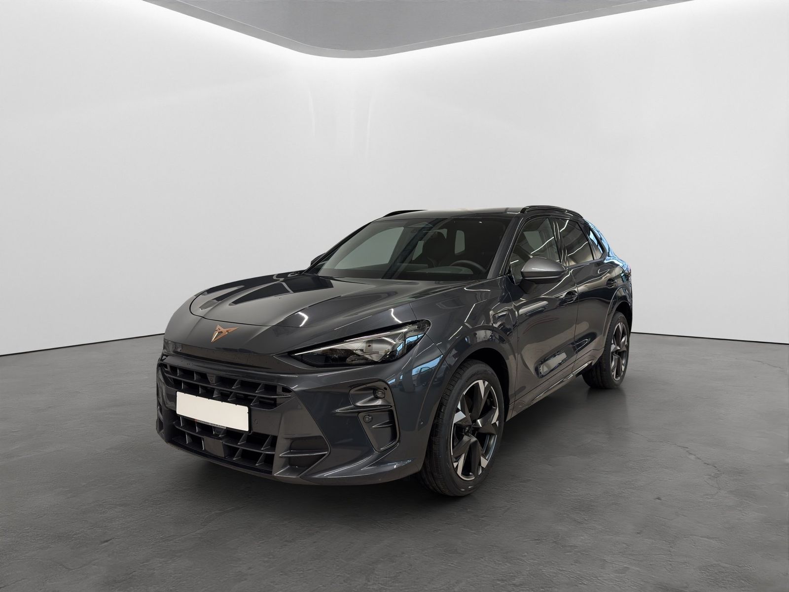 Cupra Terramar 1.5 e-Hybrid DSG VZ Matrix+360Grad+Head imagem 2