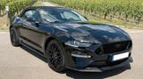 Ford Mustang 5.0 Ti-VCT V8 GT Cabrio