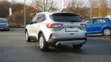 Ford Kuga 2.0 EcoBlue Titanium AWD Standheizung LED - Ford Kuga AWD Gebrauchtwagen