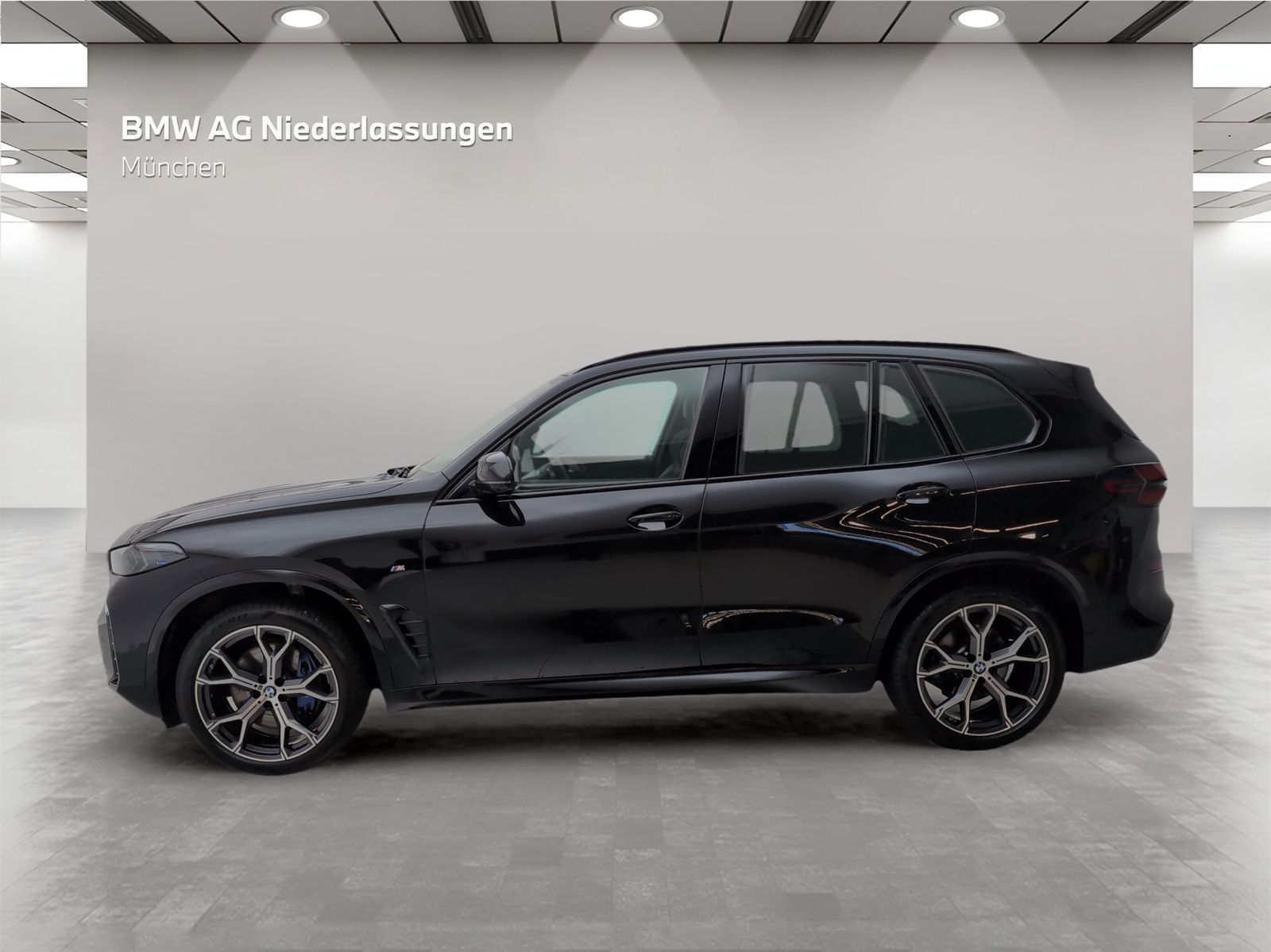 BMW X5 xDrive40d M Sport AHK Driv.Assist.Prof LED foto 2