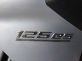 Piaggio Carnaby 12 - PIAGGIO CARNABY