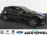 Ford Focus ST 2.3l Ecoboost +NAVI+RFK+WINTERPAKET+ - Ford Focus: St3