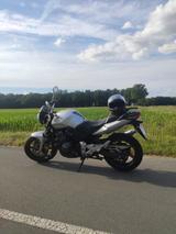Honda CBF 600 PC38 - Angebote entsprechen deinen Suchkriterien