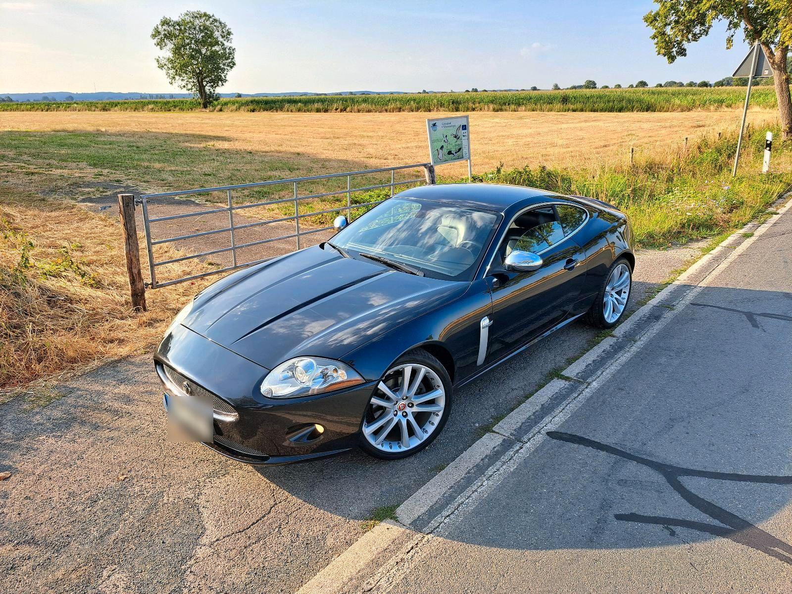 Jaguar XK