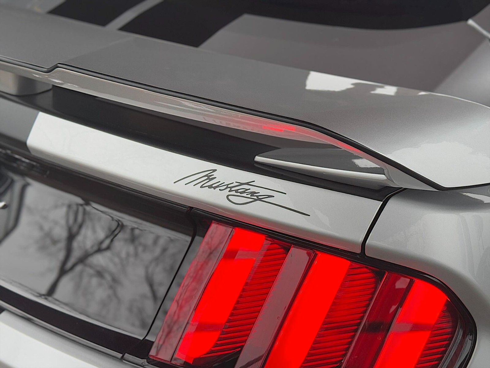 Fahrzeugabbildung Ford Mustang Shelby 500 GT Coupe Performances PREMIUM