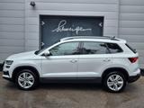 Skoda Karoq 2.0 TDI Selection - Skoda Karoq mit Diesel-Antrieb: Geländewagen