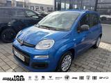 Fiat Panda ICON Hybrid 1.0 GSE KLIMA PDC TEMPOMAT - Fiat Panda Vorführfahrzeuge