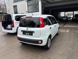 Fiat Panda Pop - Fiat Panda: Pop