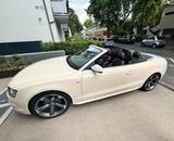 Audi A5 Quattro 3.0 TDI S line Voll exclusive - Audi A5: Exclusive Line
