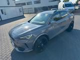 Cupra Formentor 2.0 TSI 228kW VZ 4Drive DSG VZ - Cupra Formentor: Privatanbieter