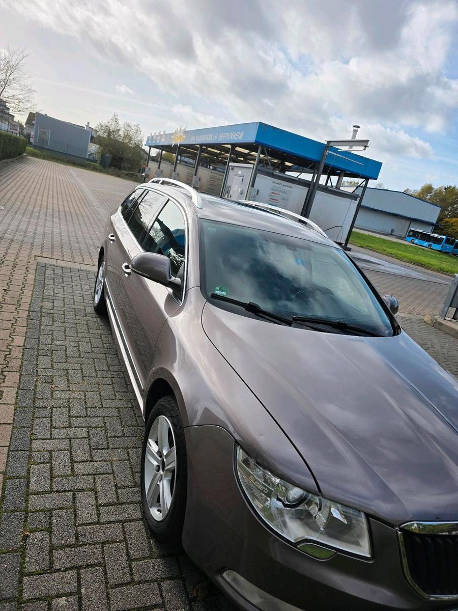 Skoda Superb 2010 — вигляд ззаду