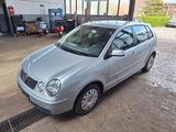 Volkswagen Polo Cricket