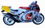 Suzuki RGV 250 VJ22B Lucky Striike - SUZUKI RGV 250