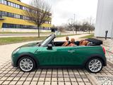 MINI Cooper Cabrio Class. Trim Leder/Navi/LED/Kamera - MINI Cooper Cabrio mit Panoramadach