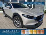 Mazda CX-30 Takumi BLOP 360° Bose Leder Matrix LogIn L - Mazda CX-30 Takumi mit Benzin-Antrieb