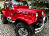Jeep Wrangler 6 Zylinder, 4 Liter Oldtimer... - Jeep aus 1991