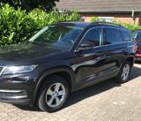 Skoda Kodiaq 1.5 TSI ACT DSG AMBITION AMBITION - Skoda Kodiaq Gebrauchtwagen in Hamburg