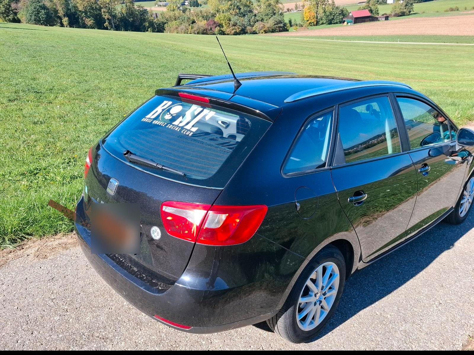 Seat Ibiza 2011 — photo 7