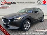 Mazda CX-30   | Selection | Klimaautomatik | Carplay - Mazda CX-30: Limousine