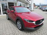 Mazda CX-30 5WGN 2.5L e-SKYACTIV G 140 AT Takumi  BLOP - Mazda CX-30 Gebrauchtwagen in Dresden